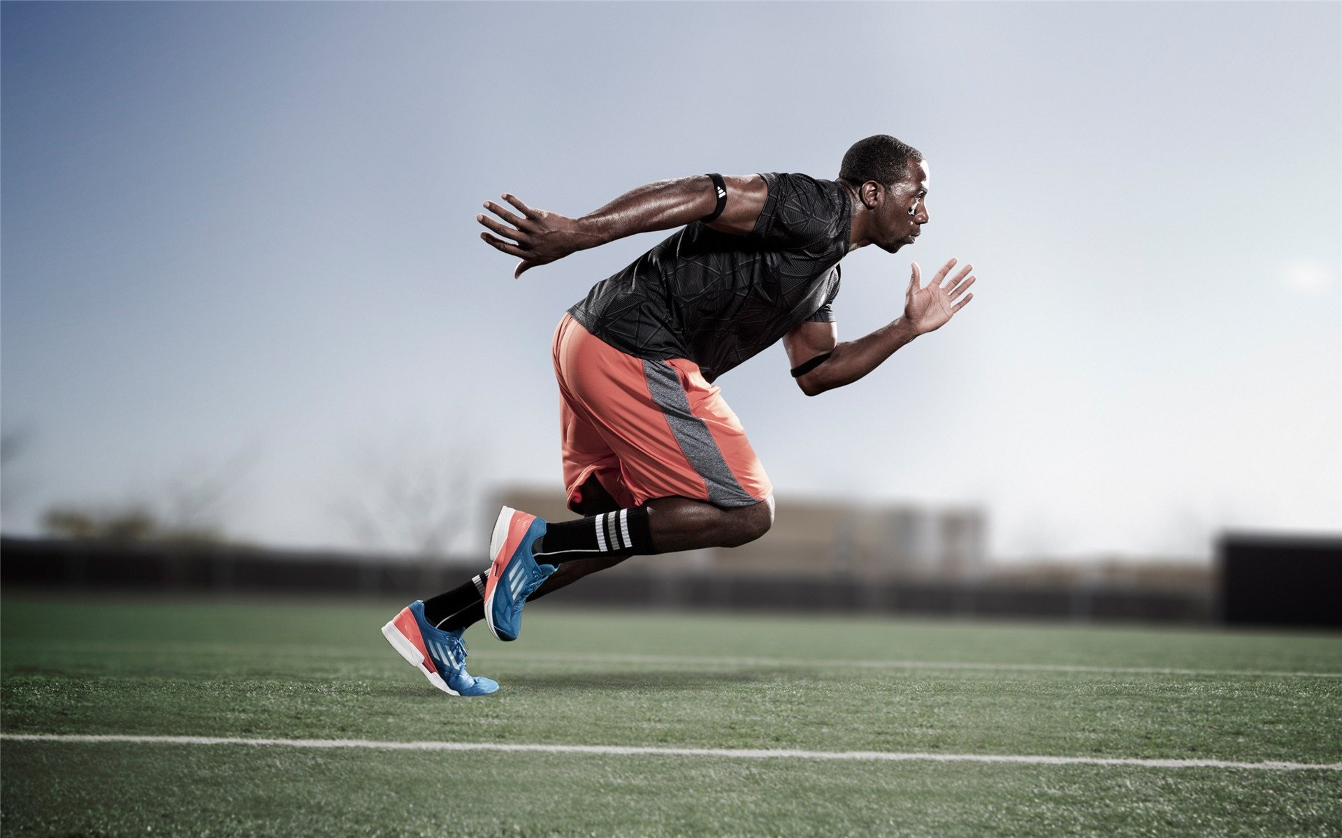 悉尼国王篮板球争夺激烈，悉尼国王vs东南墨尔本凤凰