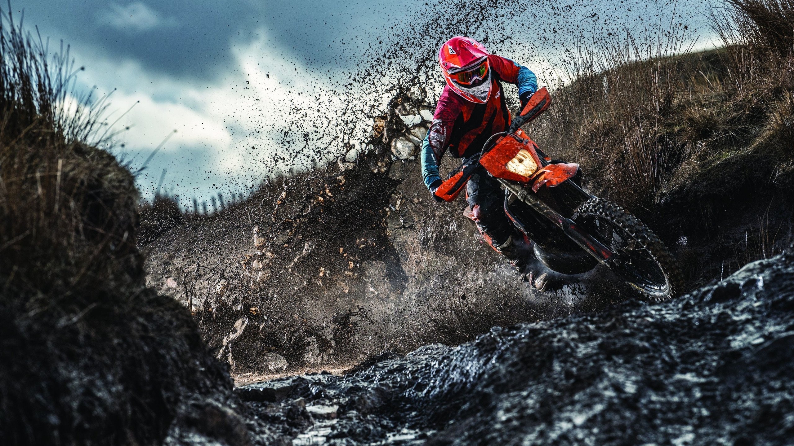 顶级战队的战术秘籍，带你揭秘胜利背后的秘密武器，胜利队的枪叫什么